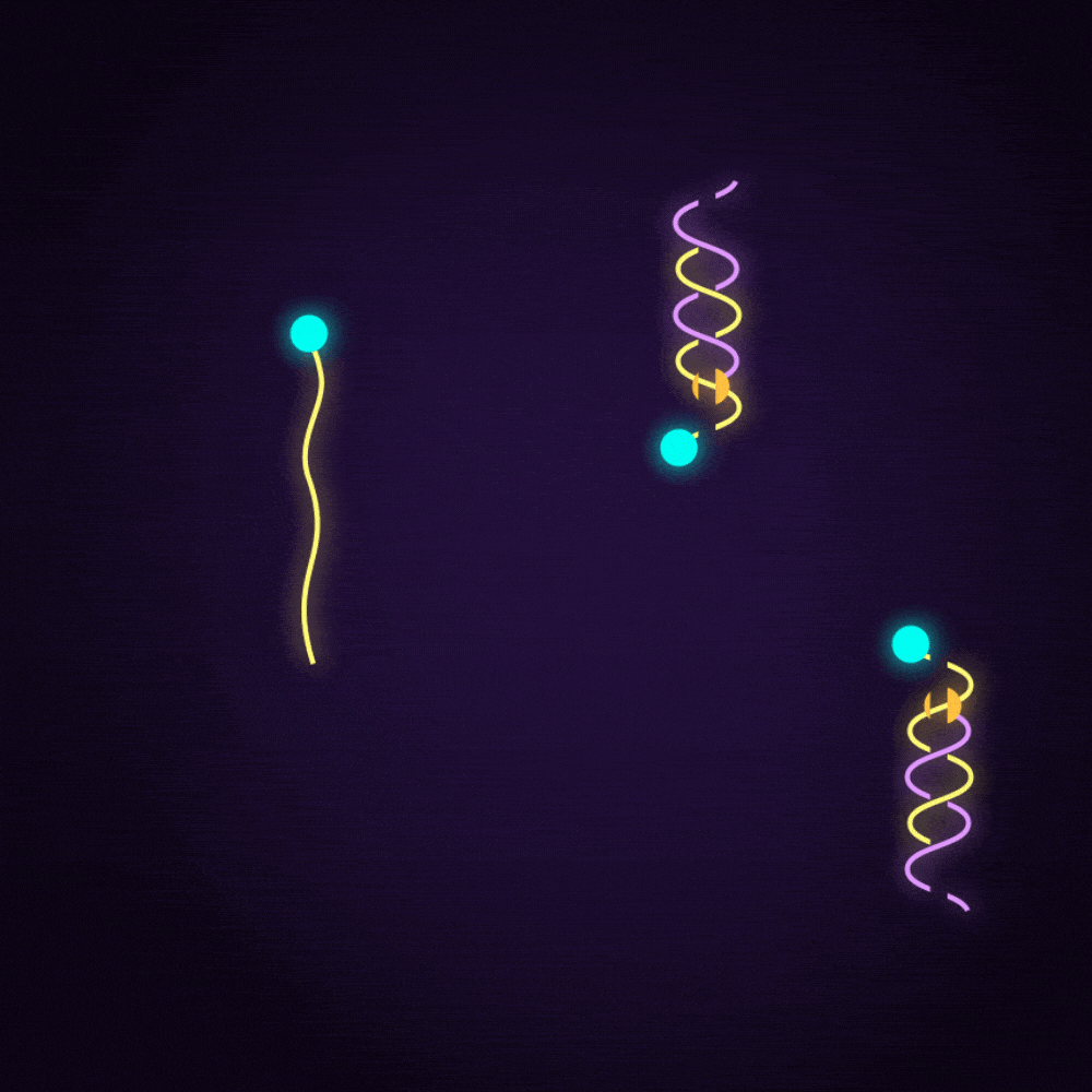Day_22.gif