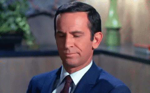 LLC-secondLook.gif