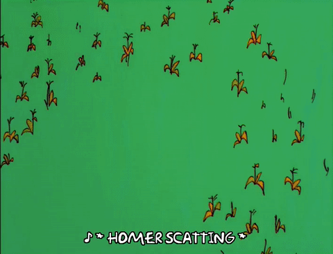 BiasedShortcut.gif