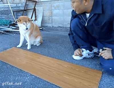 collaboration.gif