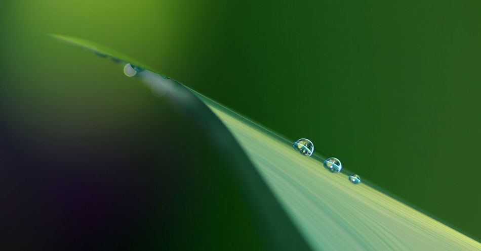 depth of field.jpg