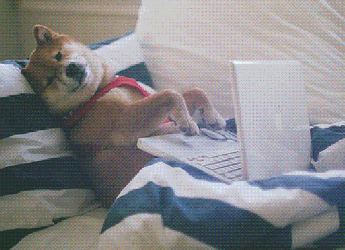 Motion Design Sites - Computing.gif