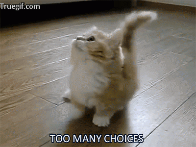choiceskitten.gif