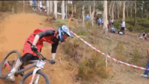 LLC-bikeCrash2.gif