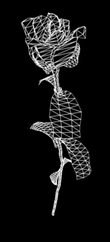 Wireframe.gif
