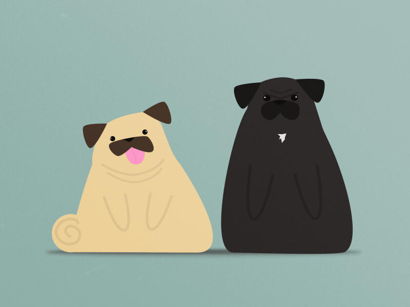 6c5912_5bc9e1b75b034bd584f397c30a3e57ab_mv2.gif