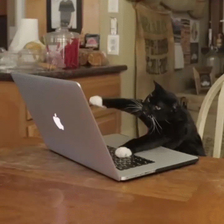 Work.gif